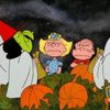 <em>It's The Great Pumpkin, Charlie Brown</em>... Is On The TV Tonight!